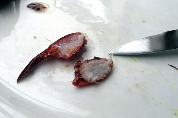 Ravun saksen sisällä on syötävää